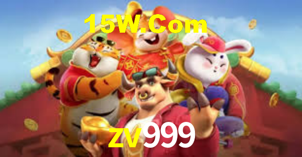 Interface Premium zv999