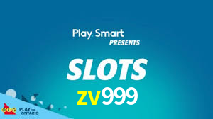 Experimente o Login Seguro Premium no zv999